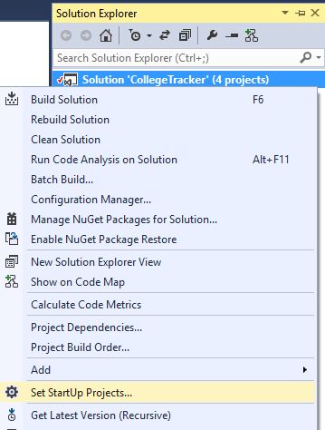 Set Startup Projects